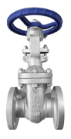 Gate valve ansi150